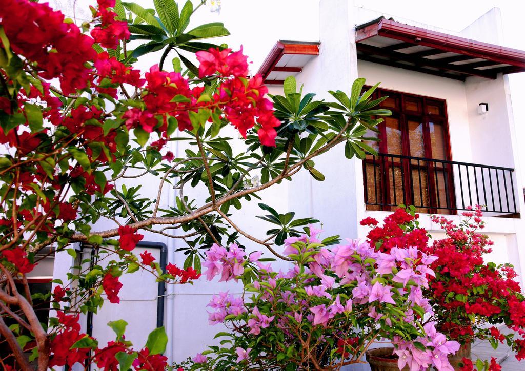 Villa Oak Residencies à Kiribathgoda Extérieur photo